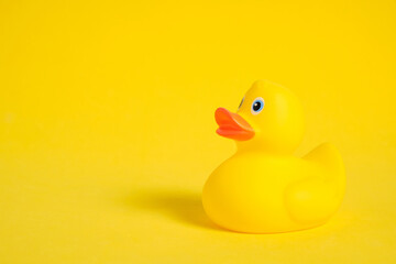 Yellow rubber duckling on a yellow background.