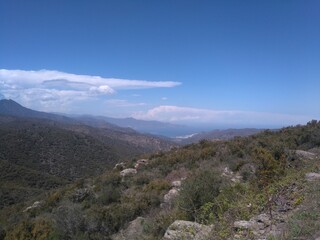 Naklejka premium roses espagne