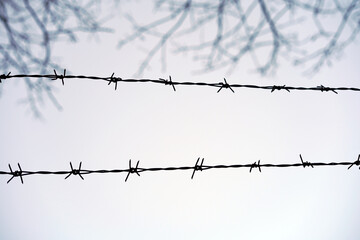 View of barbed wire.