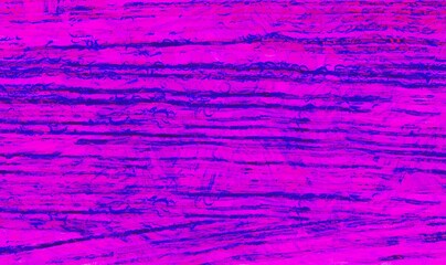 Colorful background wallpaper template for your graphic design works insert picture or text with copy space