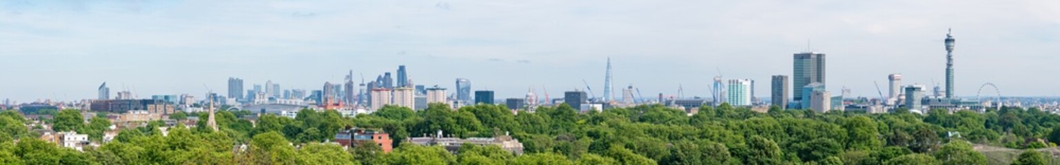 Fototapeta na wymiar London skyline panorama in summer seen from Primrose Hill in Regent's Park