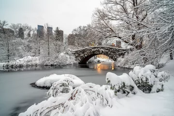 Papier Peint photo Pont de Gapstow Gapstow Bridge dans Central Park, tempête de neige