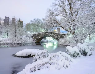 Papier Peint photo Pont de Gapstow Gapstow Bridge dans Central Park, tempête de neige