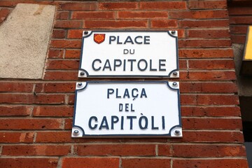 Fototapeta na wymiar Place du Capitole in Toulouse