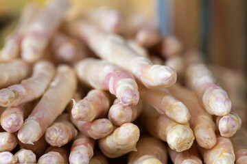 Asparagus of navarre