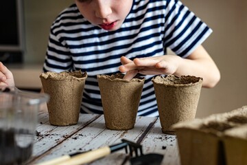 Child red-haired boy preschooler is ready to plant seedlings seedlings in peat eco pots. Home...