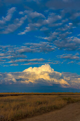 clouds in blue sky over yellow field