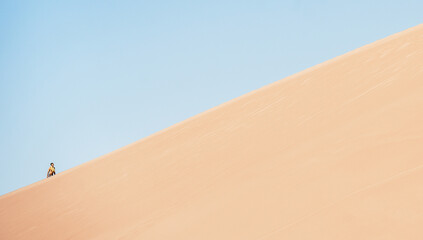 giant sand dune and hikers 