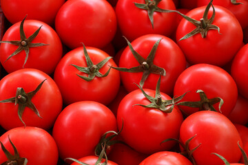 Freshly picked tomatoes from the vine. Red tomato background. Tomato photo designed for banner. selective focus © Emrah