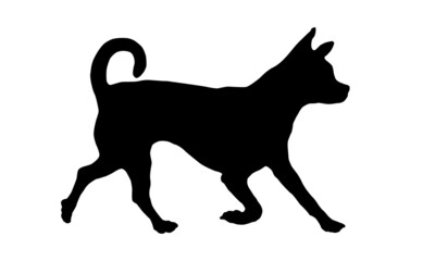 Black dog silhouette. Running chihuahua puppy. Pet animals. Isolated on a white background. Vector illustration.