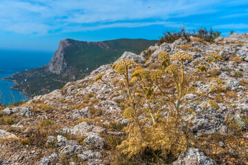 mountains of Crimea with sea view
