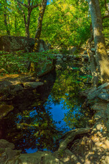 Alupkinsky Park (also known as Vorontsov Park)