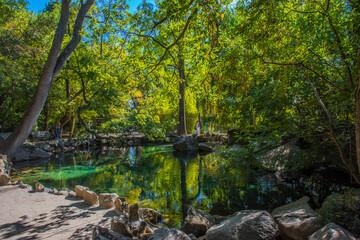 Alupkinsky Park (also known as Vorontsov Park)
