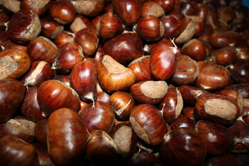 Indispensable for the cooker stove is chestnut.