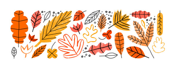 Funny autumn season leaf drawing illustration set. Hand drawn tree leave shapes on isolated background for kid education or fall concept.