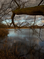 Obraz premium Winterruhe im Biosphärenreservat der Oberlausitzer Heide- und Teichlandschaft