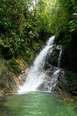 Fototapeta premium Waterfall in the forest