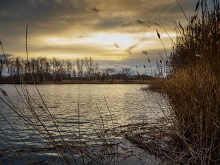 Winterruhe im Biosphärenreservat der Oberlausitzer Heide- und Teichlandschaft