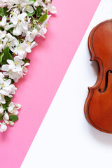 Fototapeta na wymiar Close up of Branch of blossoming apple tree and violin on White and trendy Pacific Pink background..