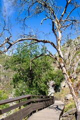 The “Passadiços do Paiva Trailhead Areinho” in Arouca Geopark, on river Paiva, near Porto, Portugal, elected as the most innovative tourism project in Europe in 2016.