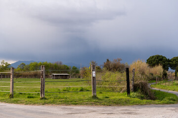 rainbow over the fence