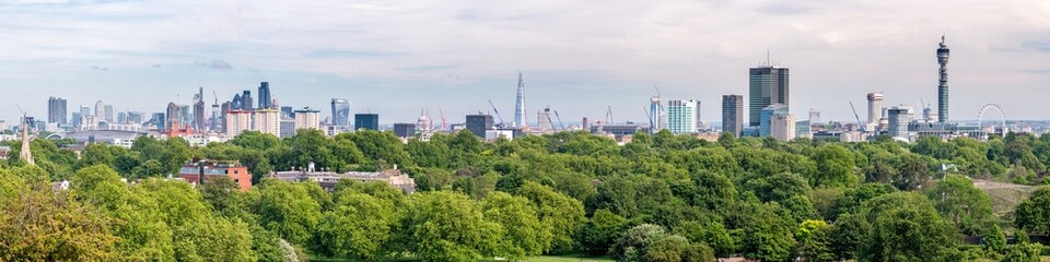Fototapeta na wymiar London skyline panorama in summer seen from Primrose Hill in Regent's Park