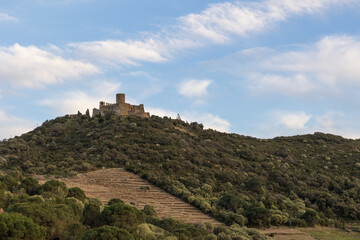 Fototapeta na wymiar Vue sur le Fort Saint-Elme depuis le Moulin de la Cortina à Collioure (Occitanie, France)