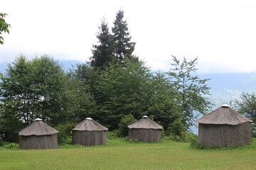 Camping area in forest, bungalow houses in green 