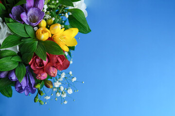 Composition of beautiful flowers. Pink, purple and yellow flowers on a blue or blue background. Flat lay, top view
