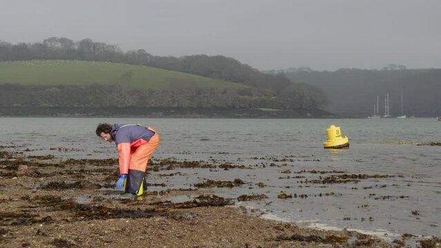 Hand picking and foraging scallops wide angle