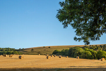 Fototapeta na wymiar Hay Bales in a Field in Sussex, on a Sunny Summers Evening