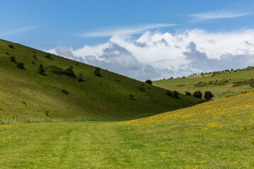 An Idyllic South Downs View, near Lewes in Sussex © lemanieh
