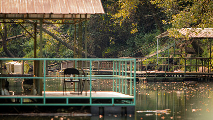 bridge over the river