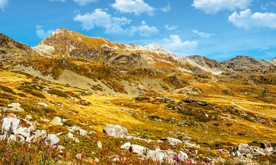 Mountains of the Swiss Alps