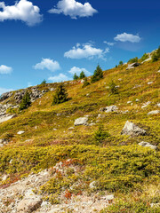 Mountains of the Swiss Alps