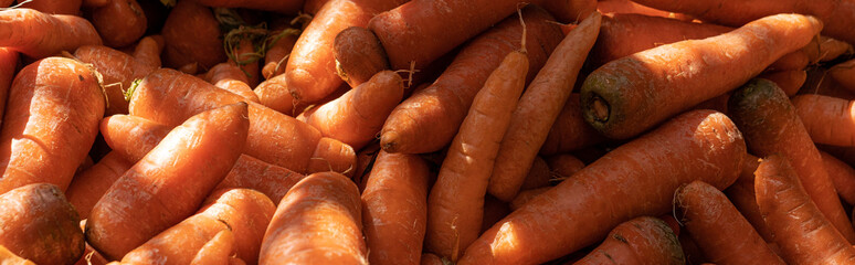 Fresh carrot vegetable background. Dramatic light