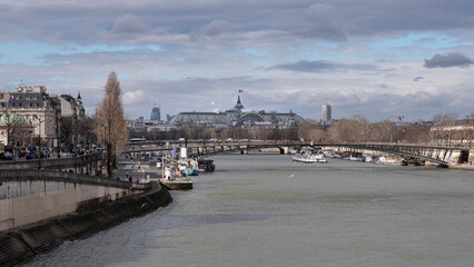 Fototapeta na wymiar Panorama of Paris with the Grand Palais and the Seine