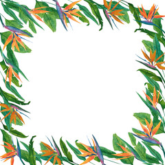 Fototapeta na wymiar Botanical square frame with strelitzia leaves and flowers. Hand-drawn template use for decoration invitations and greeting postcards, for design florist shop, posters.