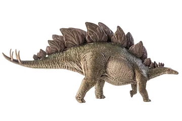 Rolgordijnen Stegosaurus Dinosaur on white background © meen_na