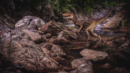 Velociraptor Dinosaur  in the  forest .