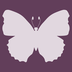 Butterfly insect silhouette outline.