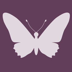 Butterfly insect silhouette outline.