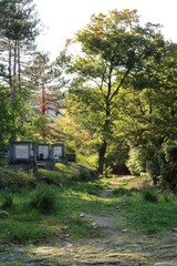 Picturesque scenery in the german graveyard of Sighisoara