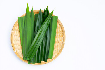 Fresh pandan leaves on white background.