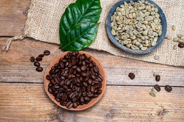 Green un-roasted and brown roasted coffee beans from Africa coffee producing region, cultivating in...