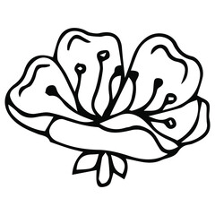 Flower art line. Sakura or Apple blossoms in vector isolated on white background. Spring flowers drawn in black and white line. Icon or symbol of spring and flowers.Doodle outline. Sketch.