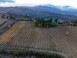 Aerial view on hills vineyards near wine making town Montalcino, Tuscany, rows of grape plants...