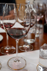Red Brunello di Montalcino wine and olive oil tasting tour in cantina near Montalcino Tuscany, Italy