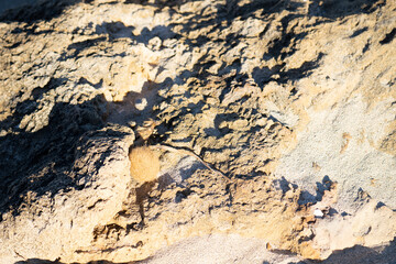 Strandgut Son Serra de Marina Mallorca Spanien