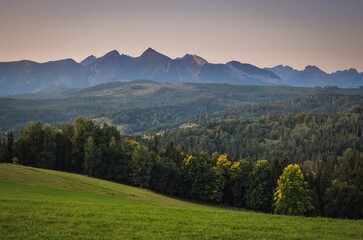 Obraz premium Beautiful spring landscape. Green glade against the backdrop of high mountains.
